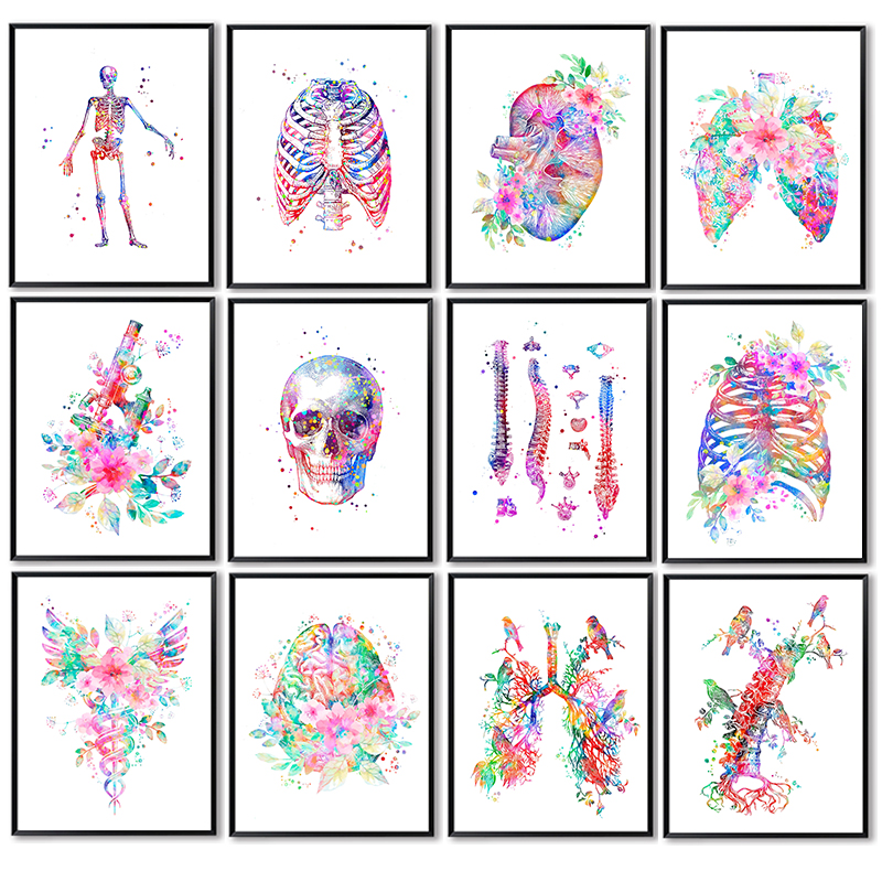 Medical Lab Pictures - Affiche médicale d'anatomie sans cadre, motif