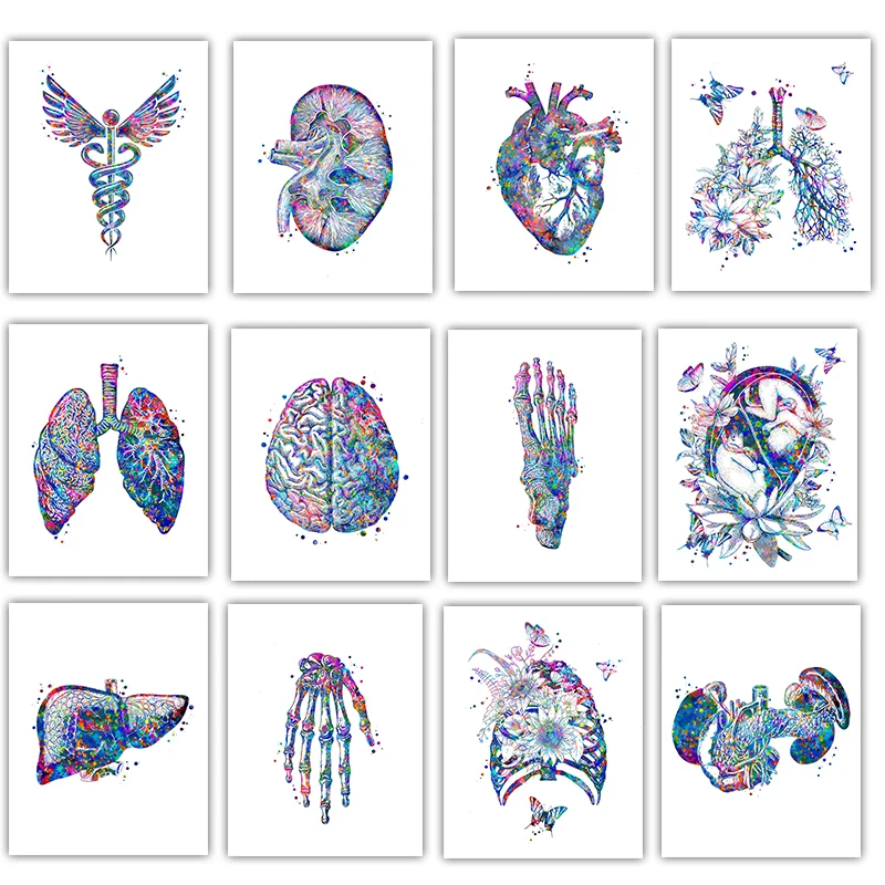 Medical Lab Pictures - Affiche médicale d'anatomie, tableau mural sur
