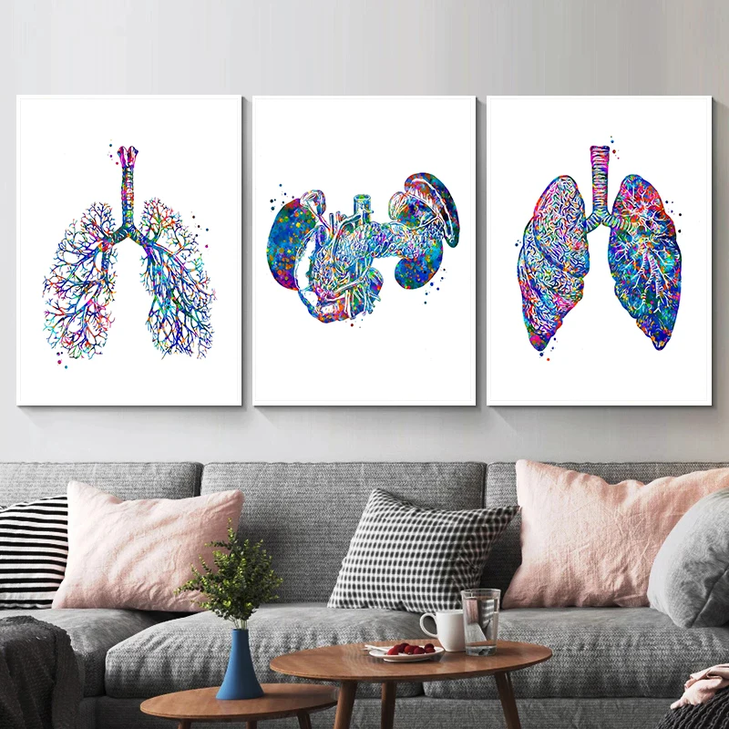 Affiche d'anatomie médicale po - Medical Lab Pictures avis et prix