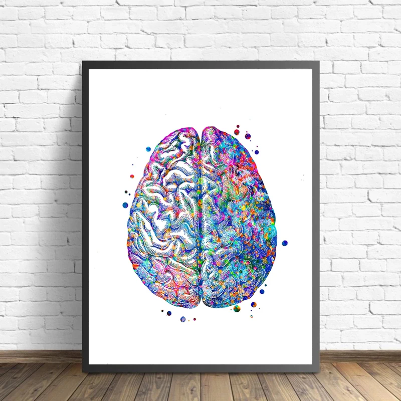 Affiche d'anatomie médicale po - Medical Lab Pictures avis et prix