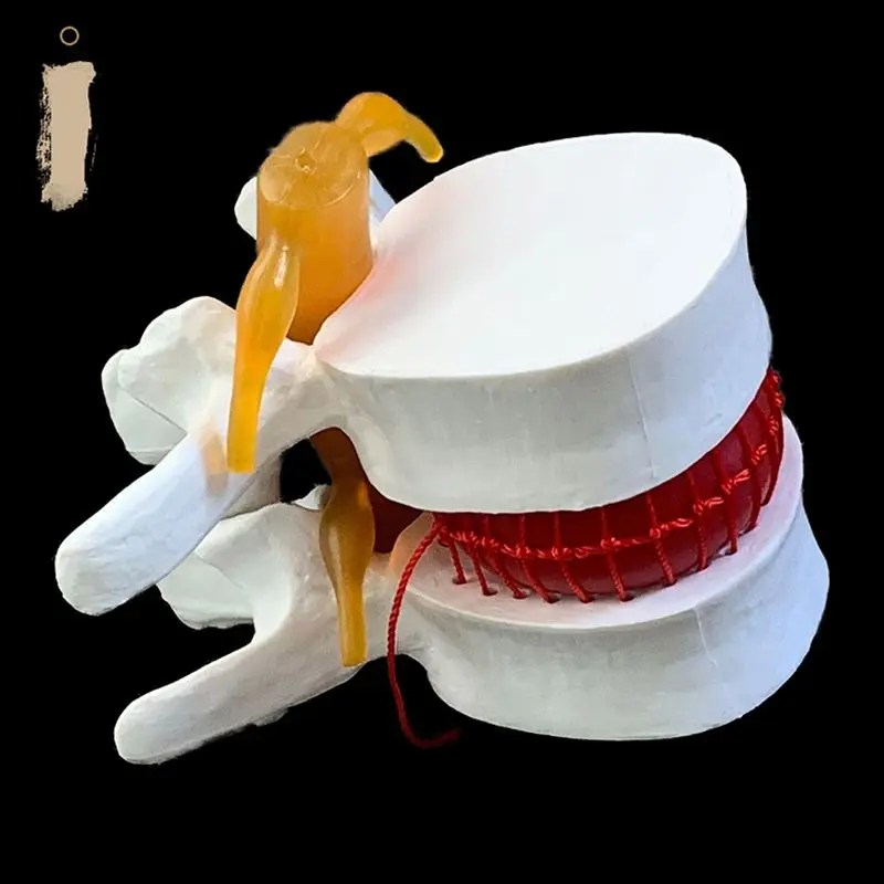 Modèle de démonstration de her - Examination Bed Medical avis et prix