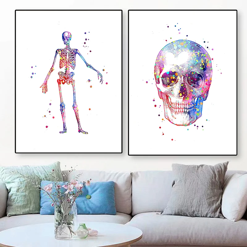 Affiche médicale d'anatomie, m - Medical Lab Pictures avis et prix