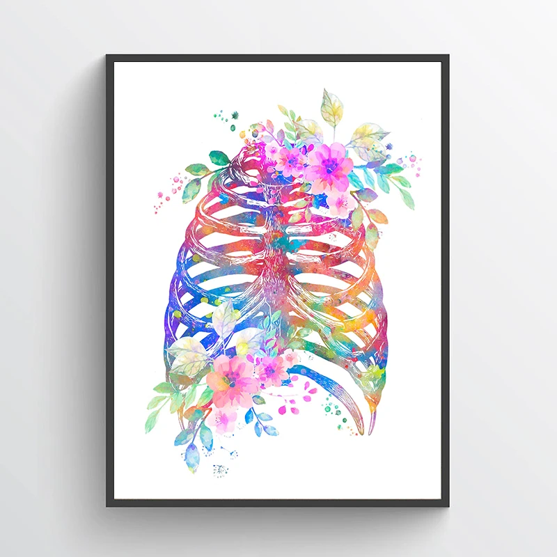 Affiche médicale d'anatomie, m - Medical Lab Pictures avis et prix